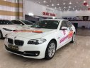 BMW 5 Series 520i 2016 - Cần bán gấp BMW 5 Series 520i năm 2016, màu trắng, nhập khẩu nguyên chiếc số tự động