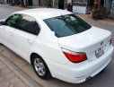 BMW 5 Series 523i 2009 - Bán ô tô BMW 5 Series 523i đời 2009, màu trắng, nhập khẩu nguyên chiếc