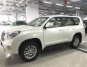 Toyota Prado 2017 - Bán Toyota Prado đời 2017, màu trắng, nhập khẩu nguyên chiếc