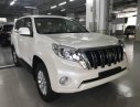 Toyota Prado 2017 - Bán Toyota Prado đời 2017, màu trắng, nhập khẩu nguyên chiếc