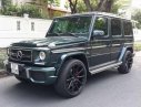 Mercedes-Benz G class  G 63 AMG 2015 - Bán ô tô Mercedes G 63 AMG đời 2015, xe nhập 