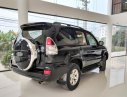 Toyota Prado GX 2010 - Bán ô tô Toyota Prado GX đời 2010, màu đen, nhập khẩu nguyên chiếc 