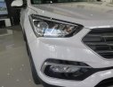 Hyundai Santa Fe 2018 - Bán xe Hyundai Santa Fe -ưu đãi lớn tại Hyundai Cao Bằng