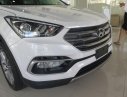 Hyundai Santa Fe 2018 - Bán xe Hyundai Santa Fe -ưu đãi lớn tại Hyundai Cao Bằng