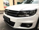 Volkswagen Tiguan 2011 - Bán Volkswagen Tiguan SX 2011, đăng ký 2012, màu trắng