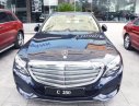 Mercedes-Benz C class C250 Exclusive 2017 - Cần bán Mercedes C250 Exclusive đời 2017, màu xanh