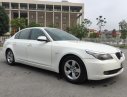 BMW 5 Series 523i 2009 - Cần bán gấp BMW 5 Series 523i đời 2010, màu trắng, nhập khẩu chính chủ