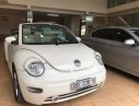 Volkswagen Beetle 2.5 2004 - Cần bán xe Volkswagen Beetle 2.5 2004, màu nâu, xe nhập, 360tr