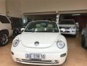 Volkswagen Beetle 2.5 2004 - Cần bán xe Volkswagen Beetle 2.5 2004, màu nâu, xe nhập, 360tr