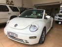 Volkswagen Beetle 2.5 2004 - Cần bán xe Volkswagen Beetle 2.5 2004, màu nâu, xe nhập, 360tr