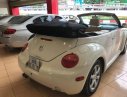 Volkswagen Beetle 2.5 2004 - Cần bán xe Volkswagen Beetle 2.5 2004, màu nâu, xe nhập, 360tr