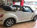 Volkswagen Beetle 2.5 2004 - Cần bán xe Volkswagen Beetle 2.5 2004, màu nâu, xe nhập, 360tr