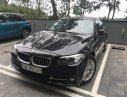 BMW 1 Cũ  5 520i 204 2014 - Xe Cũ BMW 5 520i 2014