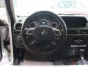 Mercedes-Benz C class C250 2014 - Cần bán gấp Mercedes C250 đời 2014, màu bạc