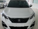 Peugeot 3008 2018 - Bán xe Peugeot 3008 năm sản xuất 2018, màu trắng