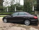 Mercedes-Benz E class E300  2009 - Bán Mercedes E300 đời 2009, chính chủ, màu nâu, nhập khẩu