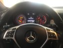 Mercedes-Benz GL Cũ Mercedes-Benz A 250 2015 - Xe Cũ Mercedes-Benz GLA 250 2015