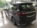 Honda Odyssey 2.4 AT 2018 - Bán Honda Odyssey 2.4 AT sản xuất 2018, màu xám, nhập khẩu nguyên chiếc