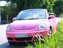 Volkswagen Beetle G 2009 - Cần bán Volkswagen Beetle G sản xuất 2009, màu hồng, nhập khẩu, 650 triệu