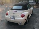 Volkswagen Beetle    2004 - Bán Volkswagen Beetle năm 2004