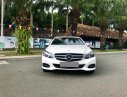 Mercedes-Benz E class E250 2015 - Bán ô tô Mercedes E250 sản xuất năm 2015, màu trắng