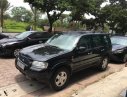 Ford Escape XLT  2004 - Bán xe Ford Escape XLT đời 2004, màu đen  