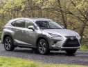 Lexus NX NX 300 2017 - Bán Lexus NX 300 sản xuất 2017, màu xám, xe nhập