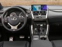Lexus NX NX 300 2017 - Bán Lexus NX 300 sản xuất 2017, màu xám, xe nhập