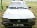 Peugeot 505   1995 - Bán Peugeot 505 đời 1995, màu xám, xe nhập xe gia đình, giá tốt