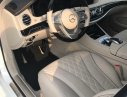 Mercedes-Benz S class S450 Luxury 2020 - Bán Mercedes S450 Luxury 2020 xuất hiện tại thị trường Việt Nam, đẳng cấp