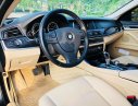 BMW 1 Cũ  5 520i 204 2014 - Xe Cũ BMW 5 520i 2014