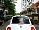 Volkswagen Beetle 2008 - Cần bán rẻ Siêu xe Volkswagen Beetle ĐK 2008, nhập khẩu. Chỉ 428tr