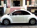 Volkswagen Beetle 2008 - Cần bán rẻ Siêu xe Volkswagen Beetle ĐK 2008, nhập khẩu. Chỉ 428tr