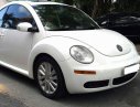 Volkswagen Beetle 2008 - Cần bán rẻ Siêu xe Volkswagen Beetle ĐK 2008, nhập khẩu. Chỉ 428tr