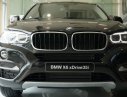 BMW X6 X6xDrive35i 2017 - Cần bán BMW X6xDrive35i nhập khẩu nguyên chiếc - 090 999 6626