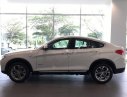 BMW X4 xDrive20i 2017 - Bán ô tô BMW X4 xDrive20i sản xuất năm 2017, màu trắng, xe nhập