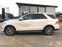 Mercedes-Benz GLE-Class GLE400  2017 - Bán xe Mercedes Benz GLE Class	GLE 400 4Matic Exclusive 2017, màu trắng, xe nhập