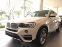 BMW X4 xDrive20i 2017 - Bán ô tô BMW X4 xDrive20i sản xuất năm 2017, màu trắng, xe nhập