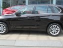 BMW X5 2017 - Bán BMW X5 xDrive35i tại Đắk Lắk