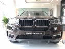 BMW X5 2017 - Bán BMW X5 xDrive35i tại Đắk Lắk