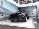 BMW X6 Mới   XDRIVE35i 2017 - Xe Mới BMW X6 XDRIVE35i 2017