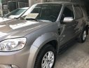 Ford Escape XLS 2013 - Bán xe Ford Escape XLS năm sản xuất 2013, màu bạc  