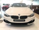 BMW 4 Series 2017 - Bán ô tô BMW 4 Series 2017, màu trắng, nhập khẩu- 0901214555