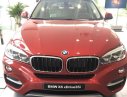 BMW X6 2017 - Bán ô tô BMW X6 sản xuất năm 2017, màu đỏ, nhập khẩu - 0901214555
