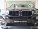 BMW X5 2017 - Bán BMW X5 sản xuất năm 2017, xe nhập