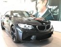 BMW M Couper M2 2017 - Bán BMW M Couper M2 đời 2017, màu đen, nhập khẩu