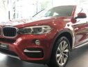 BMW X6 2017 - Bán xe BMW X6 có xe giao ngay đời 2017, màu đỏ, nhập khẩu nguyên chiếc