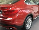 BMW X6 2017 - Bán xe BMW X6 có xe giao ngay đời 2017, màu đỏ, nhập khẩu nguyên chiếc