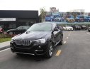 BMW X4 xDriver20i 2017 - Cần bán BMW X4 xDriver20i đời 2017, màu đen, xe nhập, giá tốt