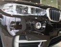 BMW X5 2017 - Bán BMW X5 sản xuất năm 2017, xe nhập